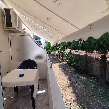 Sidorela 卡萨米尔